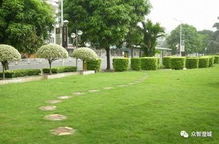 江陰市出臺新規(guī) 信用評價納入園林綠化工程招投標核心指標